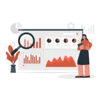 Data Insights