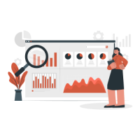 Data Insights